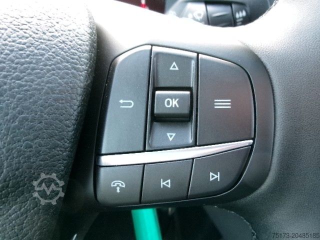 Fourgon pick-up FORD Transit 350L4 Trend Pritsche 121kW AHK Kam ACC