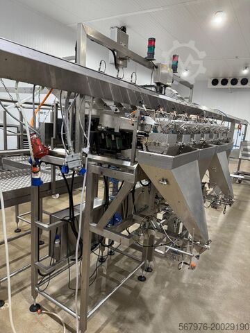 Linear weigher Cotswold Mechanical Ltd 4-head C4000 linear weigher