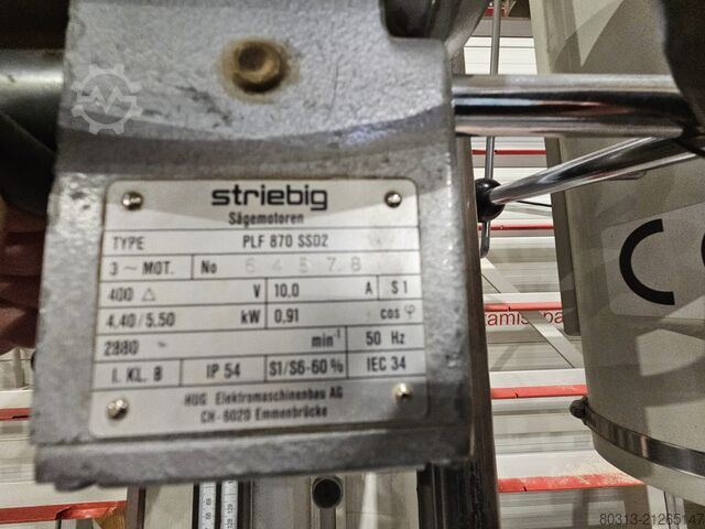 Vertical panel saw STRIEBIG Standard II