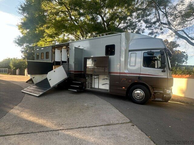 Bestelwagen DAF CF Roelofsen 6 Pferde Wohnung