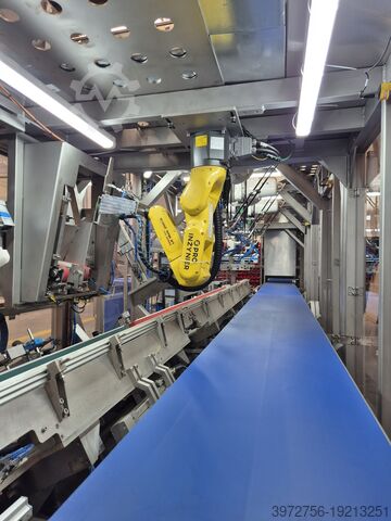 Case Packer Pro-Inżynier Case Packer