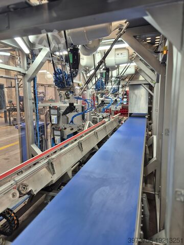 Case Packer Pro-Inżynier Case Packer