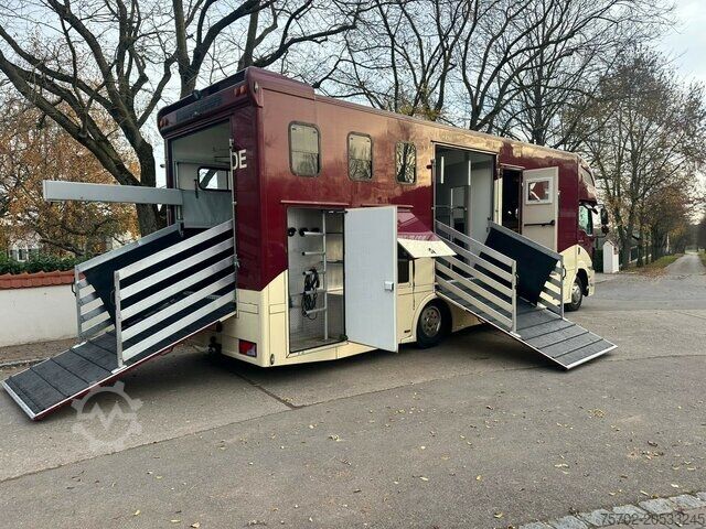 Viehtransporter LKW MAN TGM 15250 5-6 Pferde Wohnung