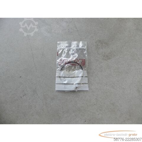 Komponenta Hawe RZ11 6/3 Radialkolbenpumpe SN: 0236 -