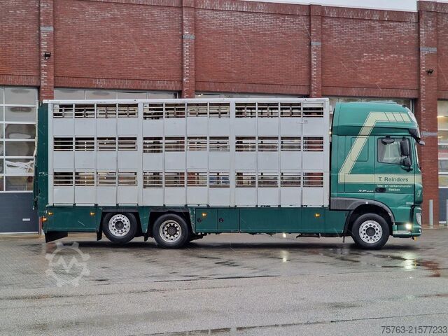 Přeprava dobytka DAF XF 440 SuperSpaceCab 6x2*4 - Cuppers 1-2-3 deck...