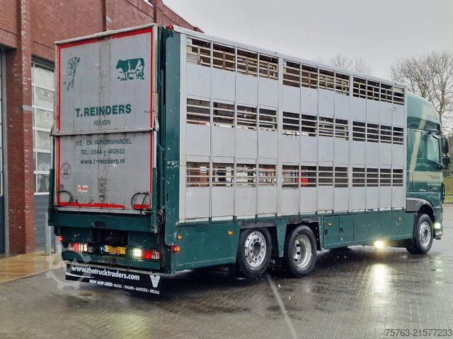 Přeprava dobytka DAF XF 440 SuperSpaceCab 6x2*4 - Cuppers 1-2-3 deck...