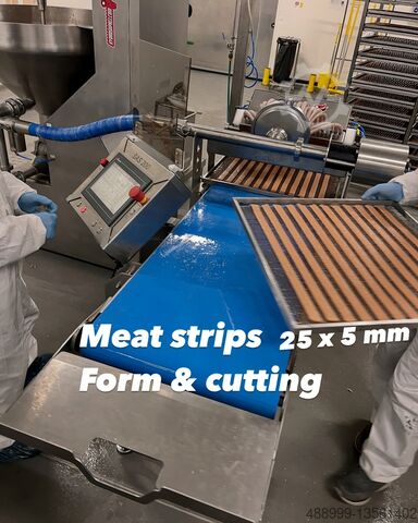 Meat processing machine HydroShpriz SAS200 module to Handtmann,REX