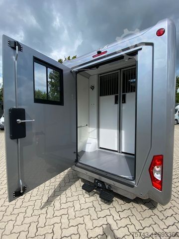 Veetransporter RENAULT Master STX  165 PS  Haras NEW MODELL 2025
