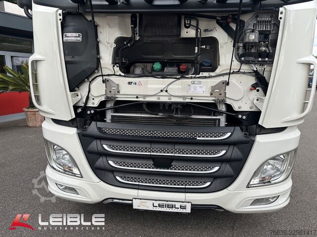 Wissellaadbak vrachtwagen DAF XF 480FAN*BDF-SDG/2 Fahrhöhen*Lift-Lenk*