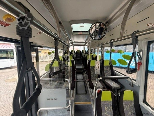 City bus MAN Midi 66 K  12/14   KLIMA  EURO 6   3-Punkt-Gurte