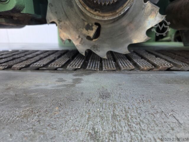 Lame multiple Raimann K2