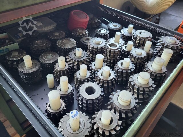 Horizontalna mašina za odvalno glodanje zupčanika WMW HECKERT ZFWVG 250x2000