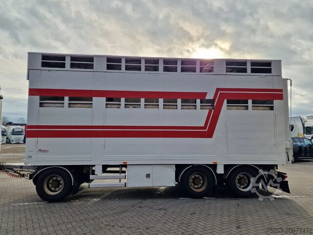 Transport de bovine Samro 3 axle - 2 deck livestock - Lifting roof - Regn...