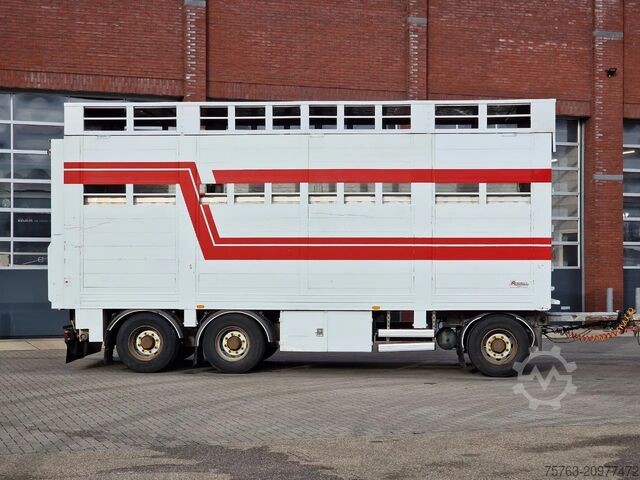Transport de bovine Samro 3 axle - 2 deck livestock - Lifting roof - Regn...