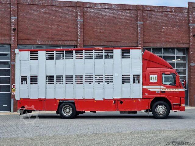 Stočni transport Volvo FM 250 4x- Livestock 2 deck - Lifting floors - ...