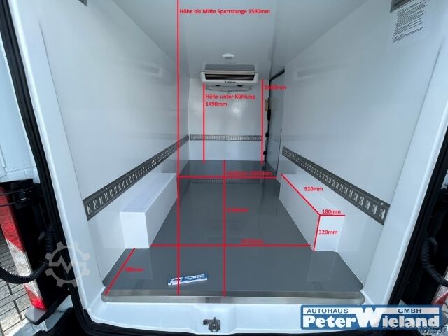Caminhão frigorífico Ford Transit Frischdienst Thermoking-Kühlung AHK SHZ Spurhalteass. Rückfahrkam. Temp PDCv+h