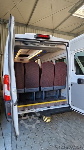 Minibus FIAT 1x Ducato 1x  Opel Movano 18 SS  in Stock