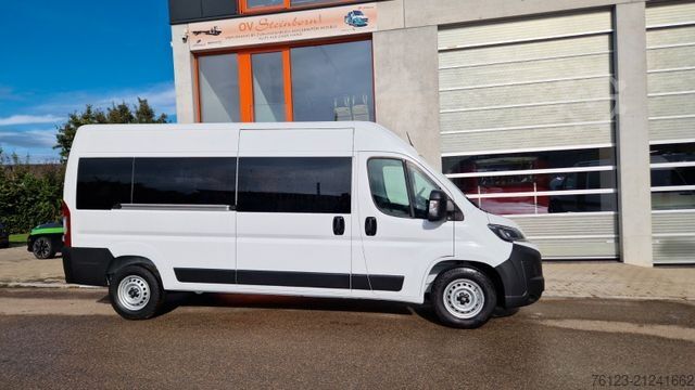 Minibús Opel Movao Fiat Ducato Systemboden Rolli