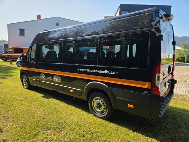 Minibús Opel Movao Fiat Ducato Systemboden Rolli