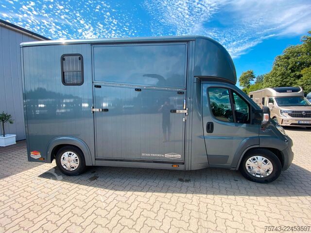 Trasportatore di bestiame FIAT Ducato Böckmann 2 Pferdetransporter