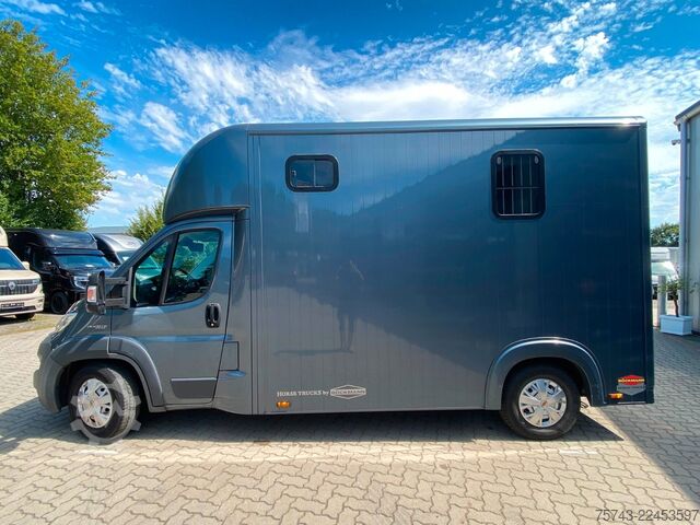 Trasportatore di bestiame FIAT Ducato Böckmann 2 Pferdetransporter