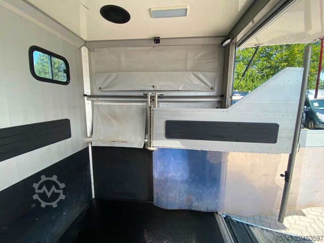 Trasportatore di bestiame FIAT Ducato Böckmann 2 Pferdetransporter