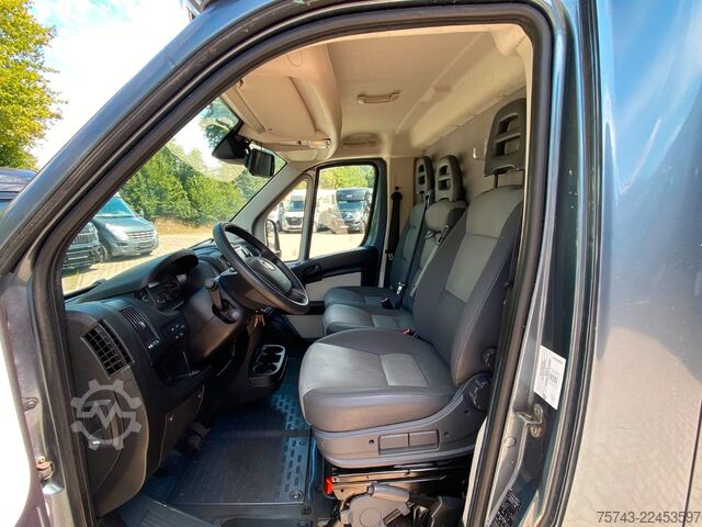 Trasportatore di bestiame FIAT Ducato Böckmann 2 Pferdetransporter