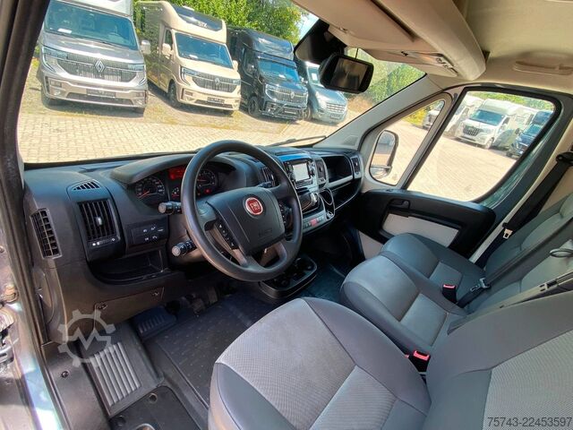 Trasportatore di bestiame FIAT Ducato Böckmann 2 Pferdetransporter