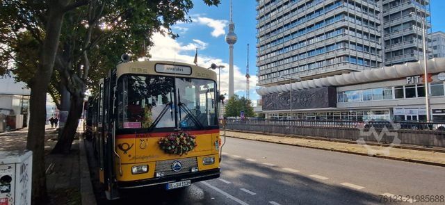 Reisebus  Oldtimer Paket Saurer LC 4 und Volvo B 10 Lauber