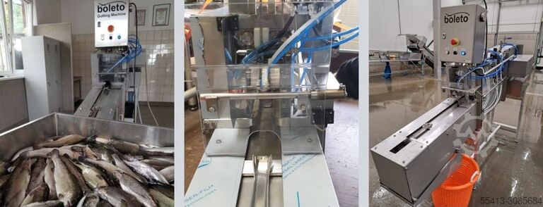 NIEUW - visverwerkingsmachine Boleto Fish Gutting Machine