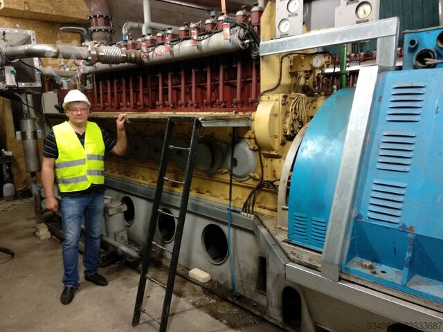 Centrală de cogenerare pe gaz, de tip bloc ALC "DIESELMASH - CGU" DvGA-630  8CHN25/34