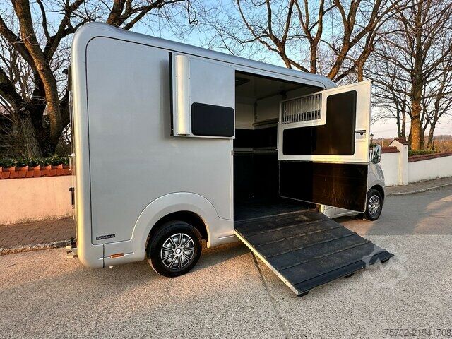 Van Renault Master STX Haras 1-2 Pferde Automatik