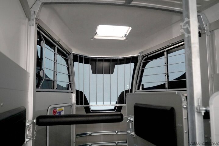 ρυμουλκούμενο μεταφοράς αλόγων Ifor Williams IFOR WILLIAMS HBX 506 | SILBER +FRONTAUSTIEG RECHTS +POLSTER +3.BREMSLEUCHTE