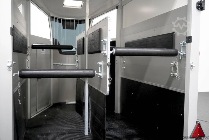 ρυμουλκούμενο μεταφοράς αλόγων Ifor Williams IFOR WILLIAMS HBX 506 | SILBER +FRONTAUSTIEG RECHTS +POLSTER +3.BREMSLEUCHTE