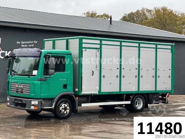 Veetransporter MAN TGL 8.180 4x2 Köstner 1.Stock Viehaufbau