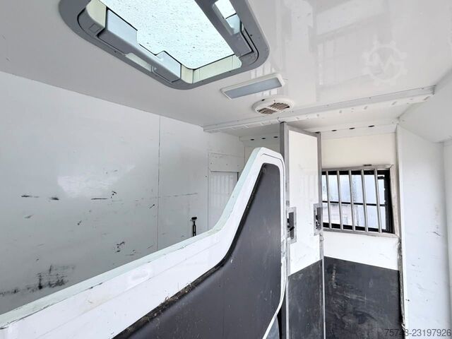 Rimorchio per trasporto cavalli  STX 3,5T  2 Pferd   Pferdeanh. Wohn. Dusche, WC