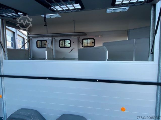 Hästtransportsläp BÖCKMANN Traveller G 3  sofort verfügbar.