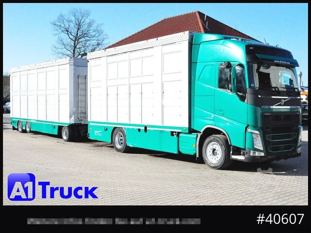 Szarvasmarha-szállító teherautó VOLVO FH 500, Stehmann, 2 Stock, Funk