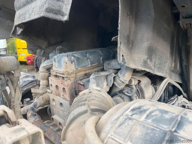 Tracteur standard DAF XF 95.530 EURO 4 for Africa. Royal truck!