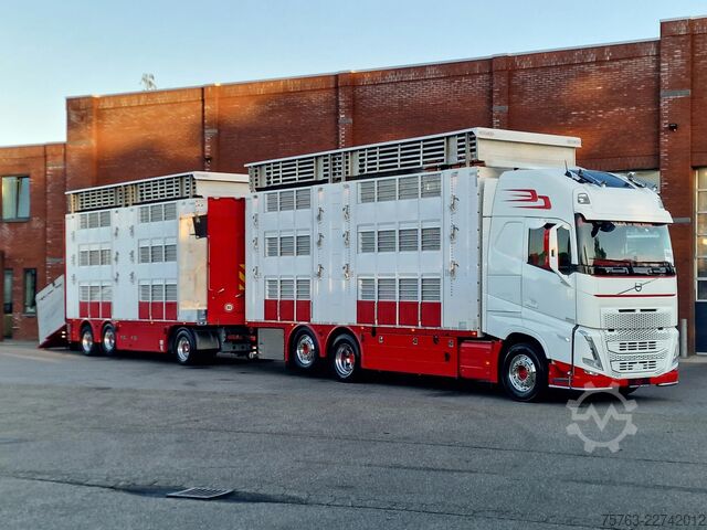 Μεταφορά βοοειδών Volvo FH 13.500 XL 6x2 - Pezzaioli livestock 3 deck +...