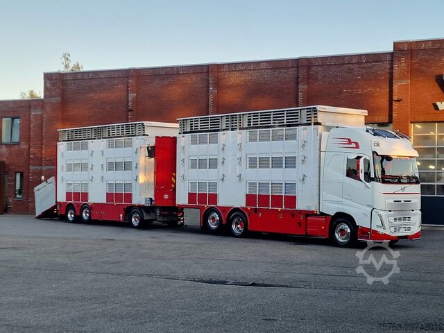 Μεταφορά βοοειδών Volvo FH 13.500 XL 6x2 - Pezzaioli livestock 3 deck +...