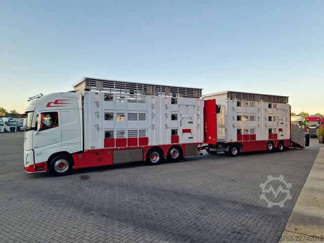 Μεταφορά βοοειδών Volvo FH 13.500 XL 6x2 - Pezzaioli livestock 3 deck +...