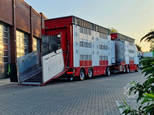Μεταφορά βοοειδών Volvo FH 13.500 XL 6x2 - Pezzaioli livestock 3 deck +...