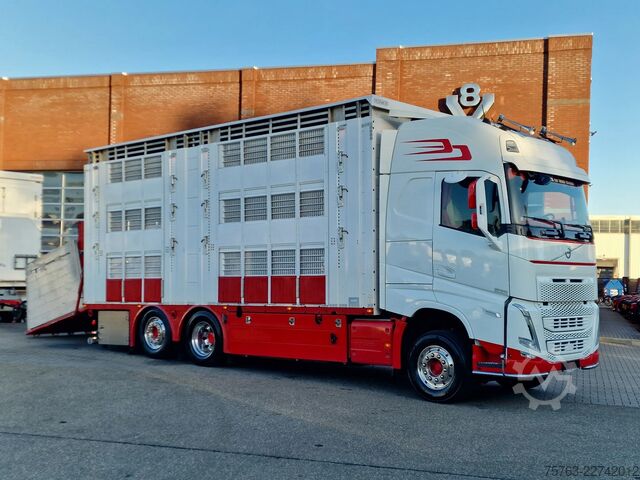 Μεταφορά βοοειδών Volvo FH 13.500 XL 6x2 - Pezzaioli livestock 3 deck +...