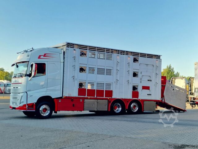 Μεταφορά βοοειδών Volvo FH 13.500 XL 6x2 - Pezzaioli livestock 3 deck +...