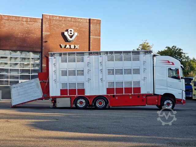 Μεταφορά βοοειδών Volvo FH 13.500 XL 6x2 - Pezzaioli livestock 3 deck +...