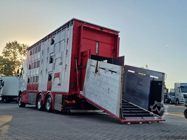 Μεταφορά βοοειδών Volvo FH 13.500 XL 6x2 - Pezzaioli livestock 3 deck +...