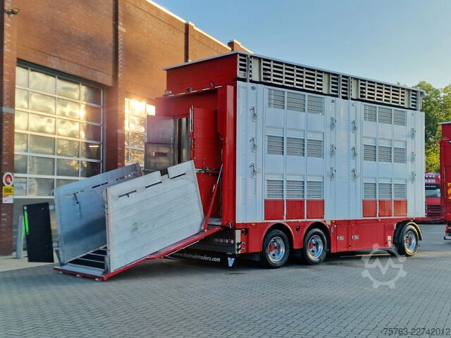 Μεταφορά βοοειδών Volvo FH 13.500 XL 6x2 - Pezzaioli livestock 3 deck +...
