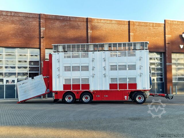 Μεταφορά βοοειδών Volvo FH 13.500 XL 6x2 - Pezzaioli livestock 3 deck +...