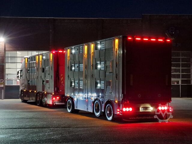 Μεταφορά βοοειδών Volvo FH 13.500 XL 6x2 - Pezzaioli livestock 3 deck +...